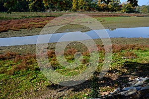 dam cleaning. to clean the pond from alluvium of mud floated