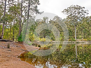 The Dam at Donnelly River