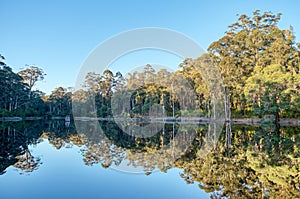 Dam at Donnelly River in Western Australia