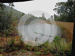 A dam on a farm on a rainy day surrounded by forests in Robertson, South Africa