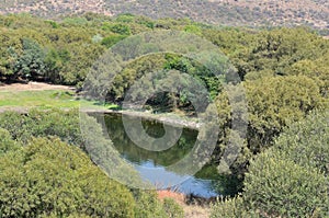 Dam in the Free State Botanical Gardens