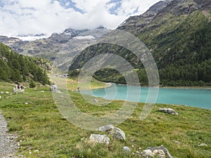 Dam of the Lago di Place Moulin in Piedmont