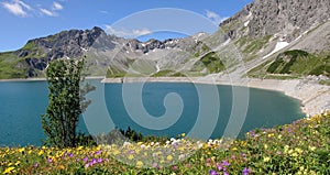 Dam lake lunersee and spring flowers, austira