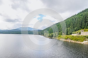 The dam and lake Oasa, river Sebes, pine forests