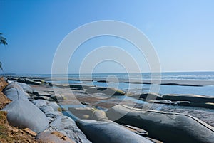 Dam for protect landsliding of seaside road photo