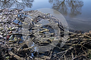 Dam of sticks and debris floating on the river, environmental pollution, water landscape, Sunny day.