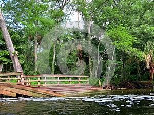Dam and waterfall on the Loxahatchee River