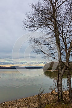 Dam and winter trees on a clear day