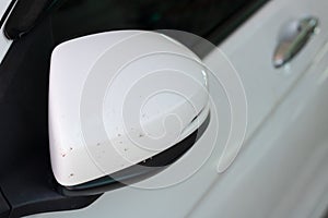 Damage car colour at wing mirror from blood insect when driving at night time