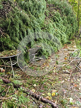 Damage Caused by a Powerful Storm