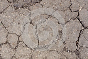 Dry cracked incinerated earth and grass photo