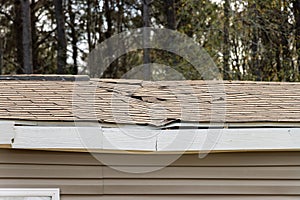 Roof damage from tree falling