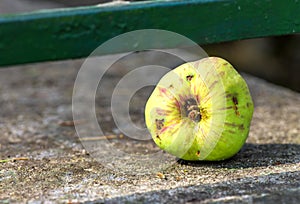 Damaged apple