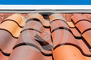 Damaged bird stopper on the clay tile roof creates openings to birds and wildlife photo