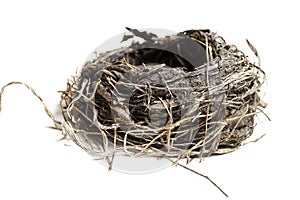 Damaged Birds Nest Isolated on White