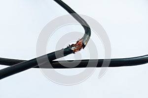 Damaged black electric cord on white background
