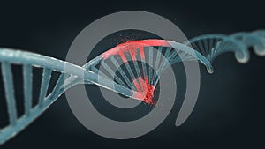 Damaged blue ribonucleic acid or dna strand