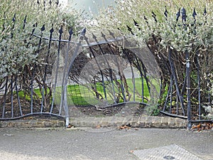 Damaged car crash fence