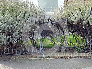 Damaged car crash fence