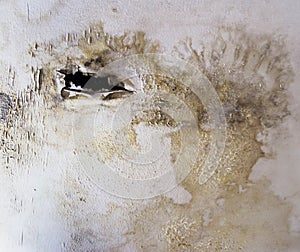 Damaged ceiling