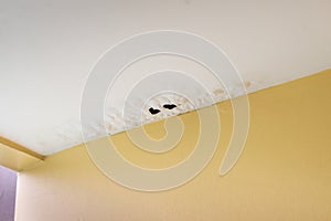 Damaged ceiling from water leak