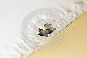 Damaged ceiling from water leak