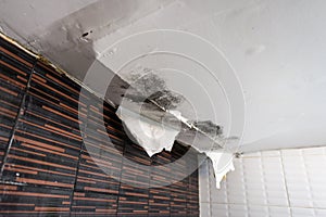Damaged ceiling from water leak photo