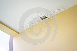 Damaged ceiling from water leak photo