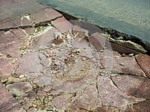 Damaged cements footpath.