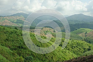 Damaged forest on the mountain in Thailand