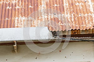 A damaged gutter on a rusted tin roof