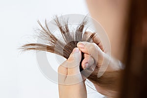Damaged Hair, frustrated asian young woman, girl hand in holding splitting ends, messy unbrushed dry hair with face shock, long