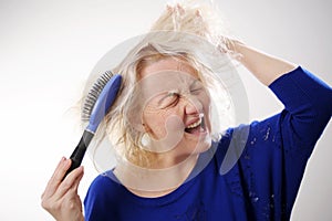 Damaged Hair. Sad adult Woman With Disheveled Comb Closeup Portrait Of Female Model Holding Unbrushed Dry Hair In Hands