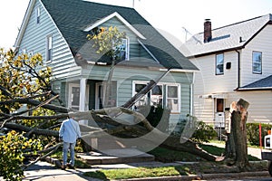 Danneggiato casa un albero 