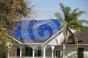 Damaged in hurricane Ian house roof covered with blue protective tarp against rain water leaking until replacement of