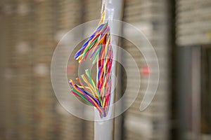 Damaged insulating material of a stranded telephone wire. Gap color telecommunication cable. Concept of poor internet connection