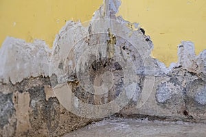 A damaged interior wall corner with peeling paint and visible deterioration.