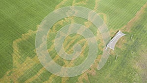 Damaged lawn grass on the football field.