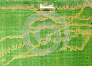 Damaged lawn grass on the football field.