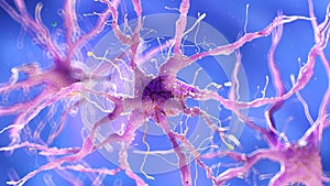 A damaged nerve cell