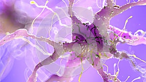 A damaged nerve cell