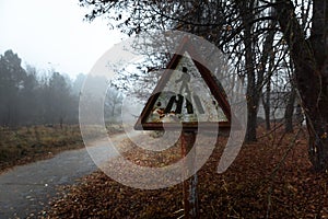 Damaged pedestrian sign at forestal road