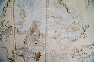 Damaged, peeling paint with water and rust spots on the wall, useful for backgrounds photo