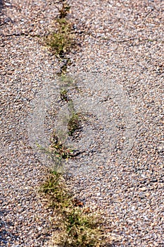 Damaged road, cracked asphalt sword with potholes and spots, Ukraine. Very bad asphalt road with large holes. Terrible technology