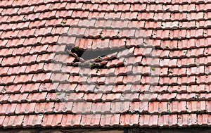 Danneggiato tetto 