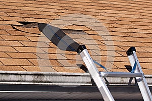 Damaged Roof Shingles img