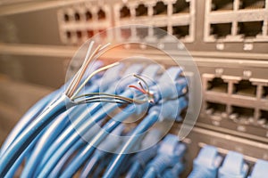 damaged stranded network cable is located on the background of the server room