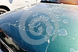 Damaged varnish peels off the hood of an old car, possibly the consequences of hail or poor quality paintwork products