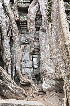 Damaged wall at Ta Prohm