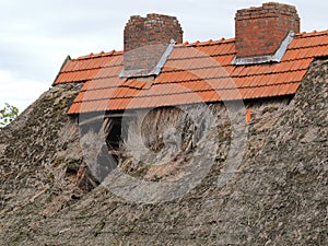 Damaged and weathered reed roof